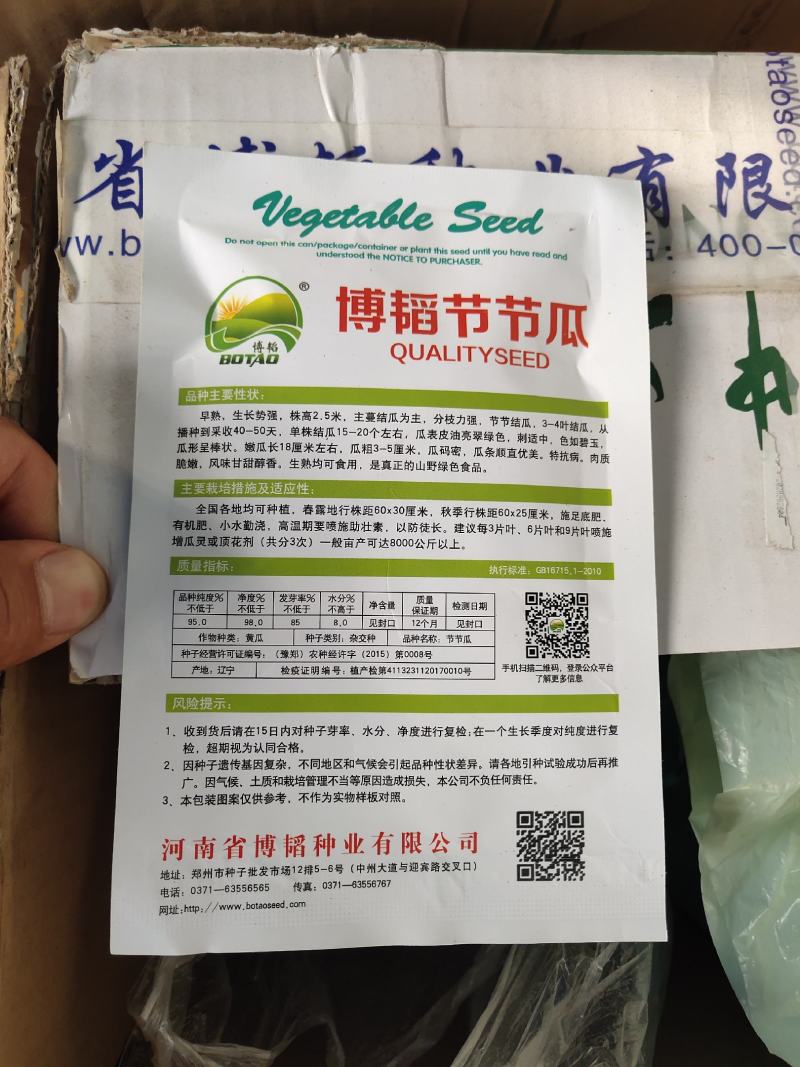 博韬节节瓜囗早熟抗病肉质脆嫩鲜吃结瓜20个亩产16000