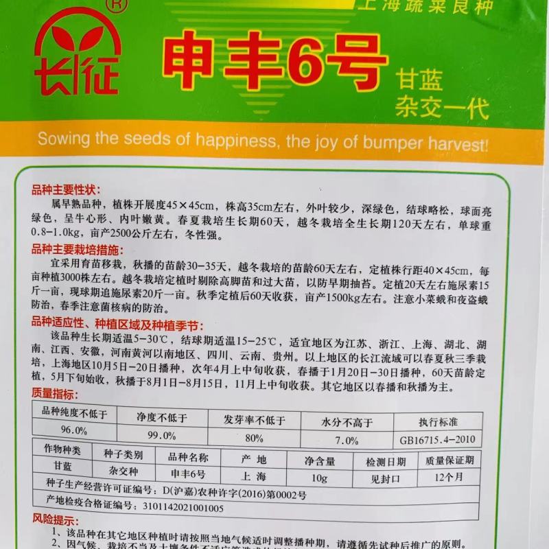申丰6号牛心甘蓝种子尖头型卷心菜种子可三季种植结球略松