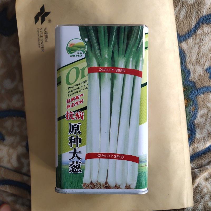 大葱种子抗病洁白汁多脆嫩商品性强亩产5000公斤以上