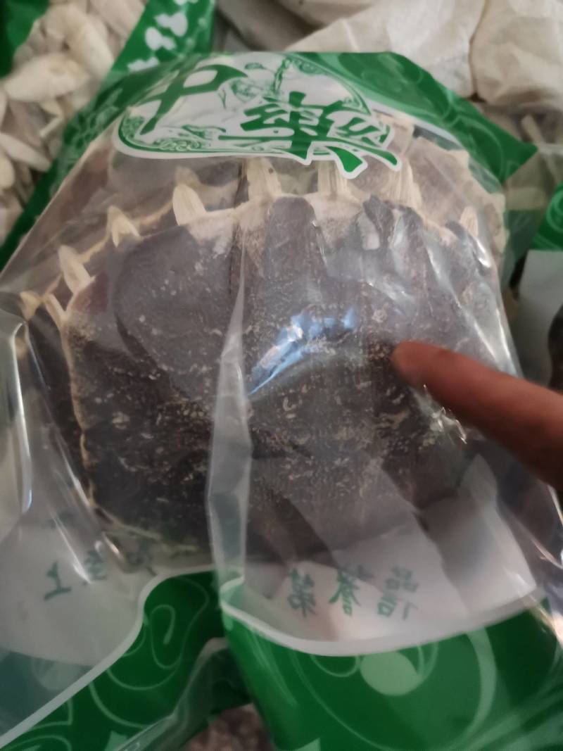 中药材生鳖甲甲鱼壳鳖甲上甲上壳团鱼甲龟板