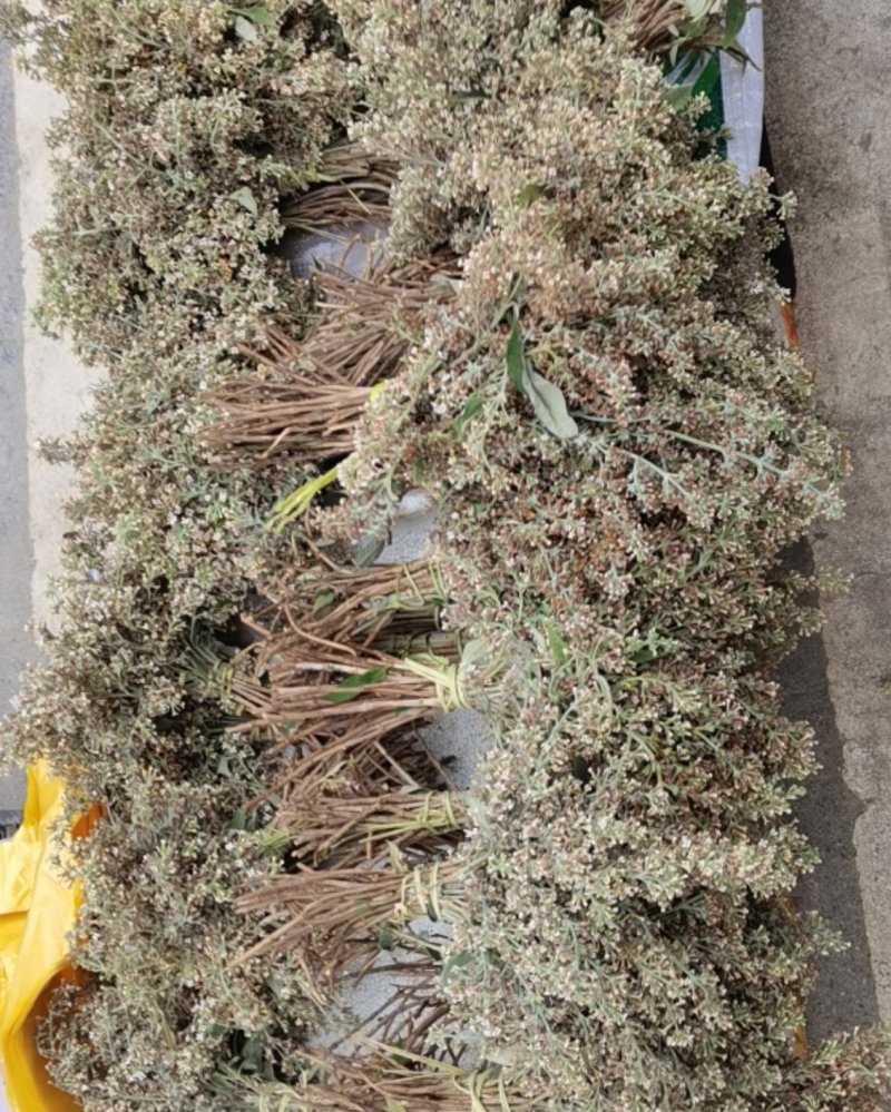 广西山上土特产花麦