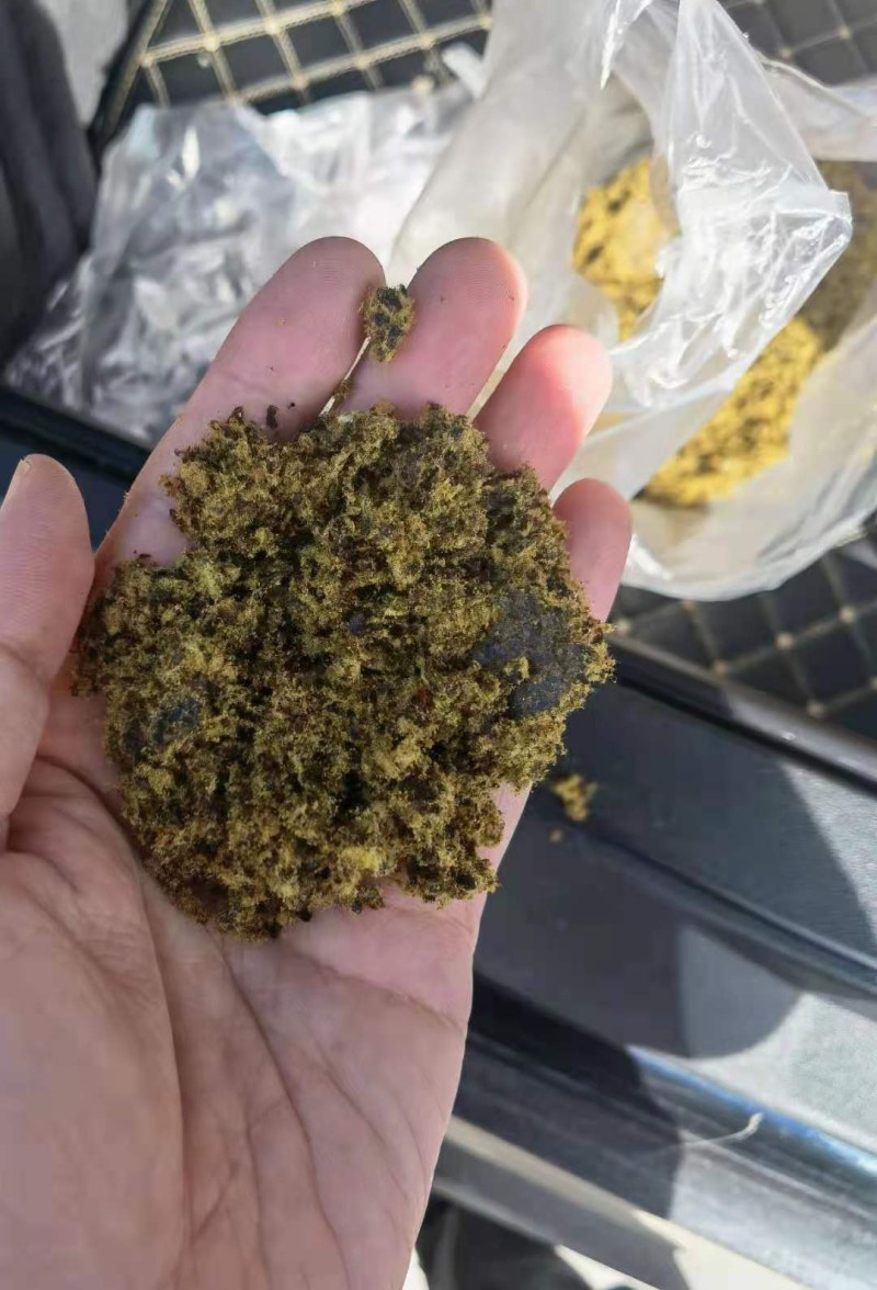 棉籽饼渣厂家直销牛羊育肥饲料全国发货