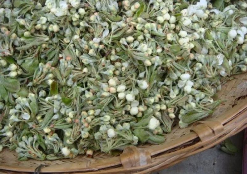 棠梨花云南野菜