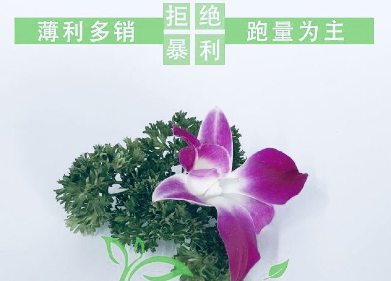 酒店摆盘精品兰花