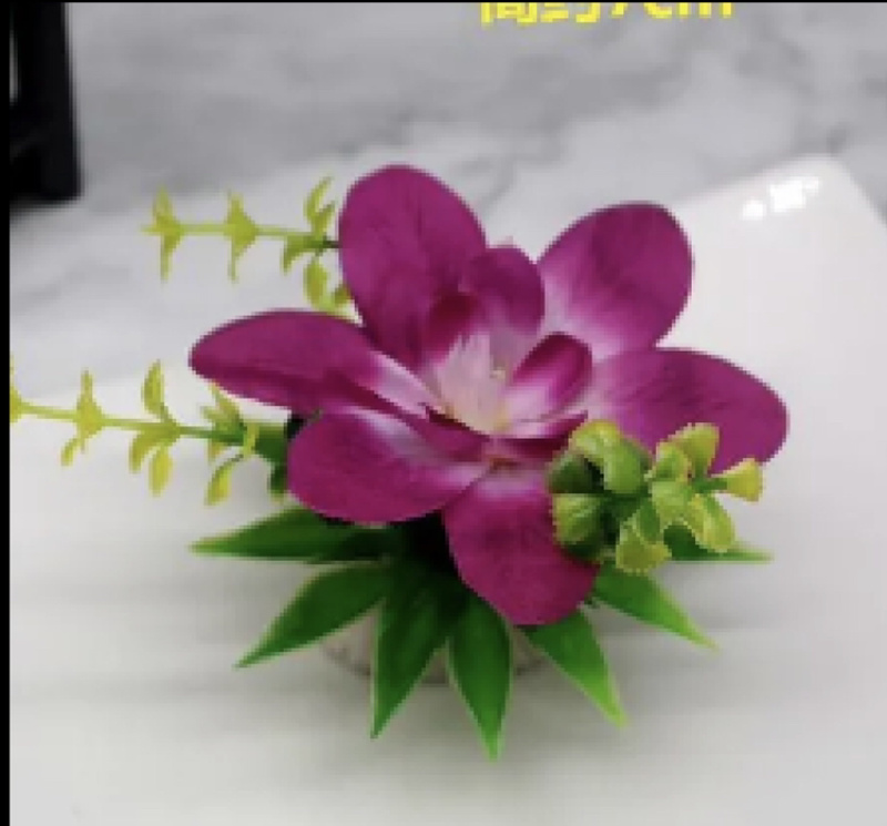 酒店摆盘精品兰花