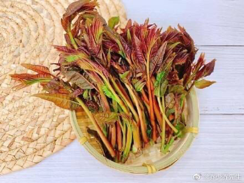 精品香椿芽食用产品