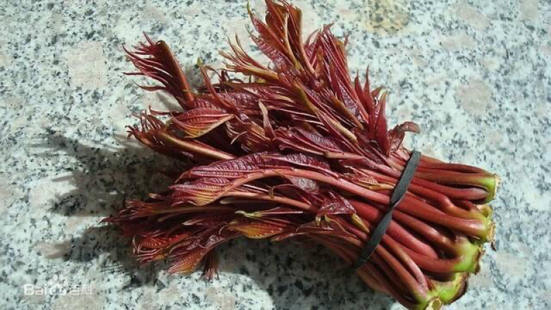 精品香椿芽食用产品