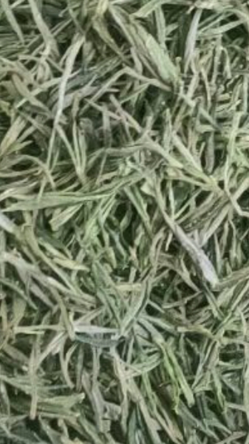 我想卖岳西名茶