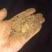 精品油菜枯长期供货每天可以出200吨成都出货