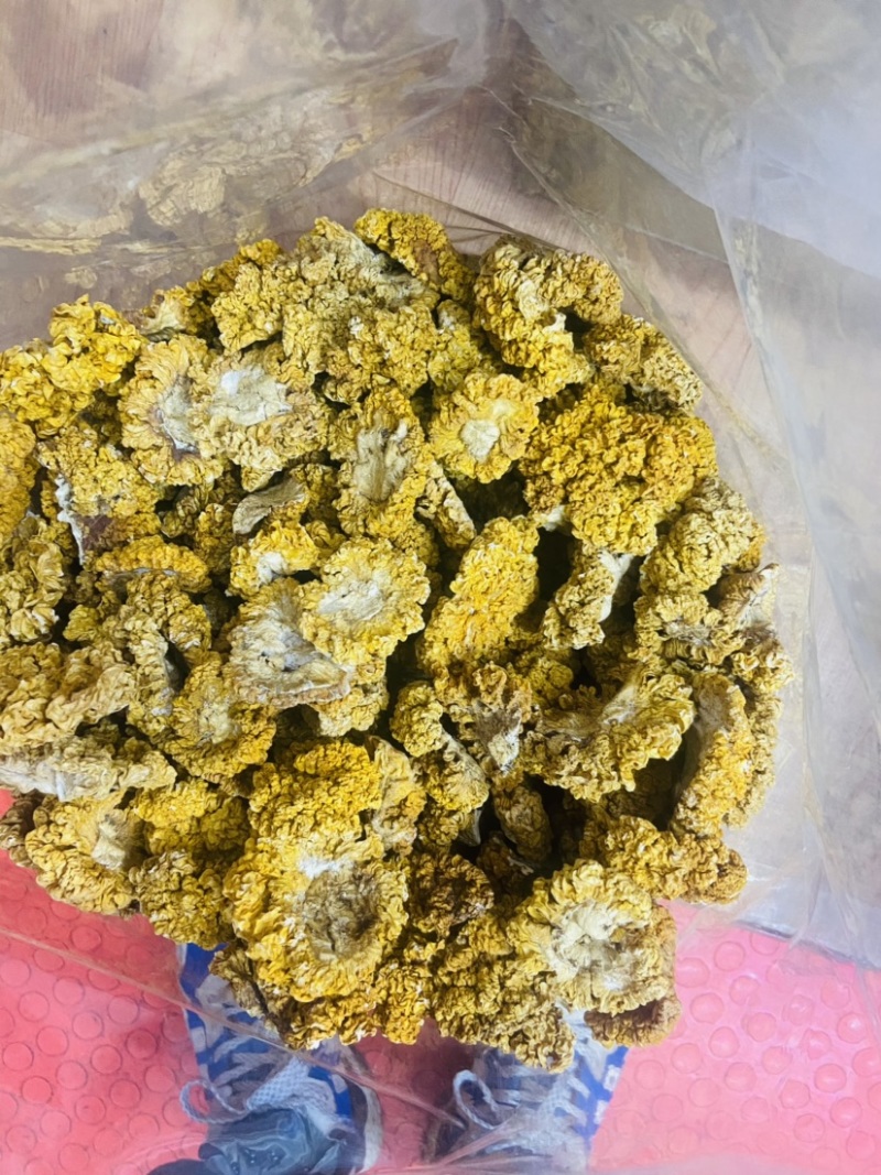 金耳处理货只有几斤