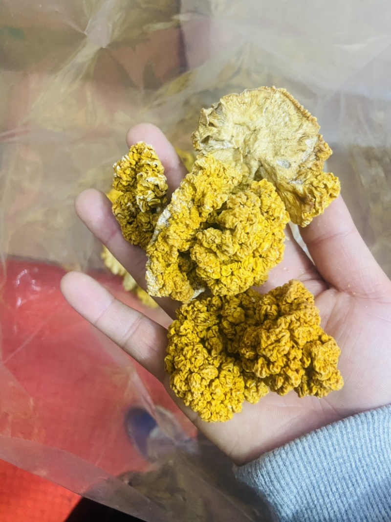 金耳处理货只有几斤