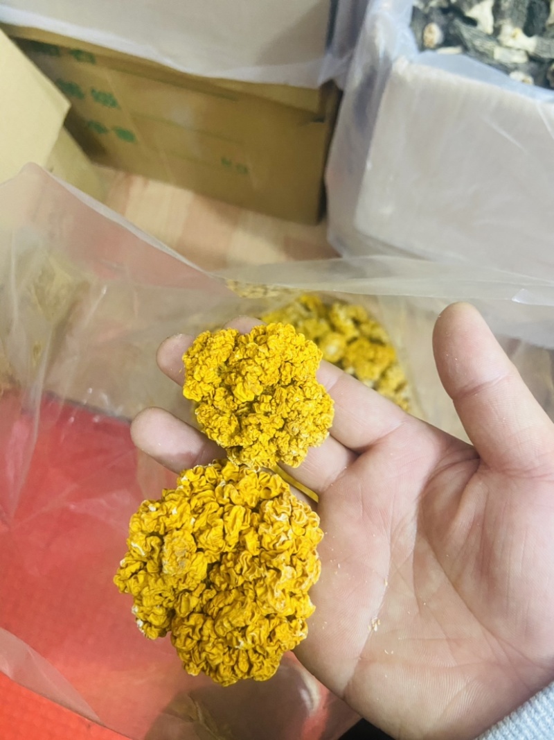 金耳处理货只有几斤