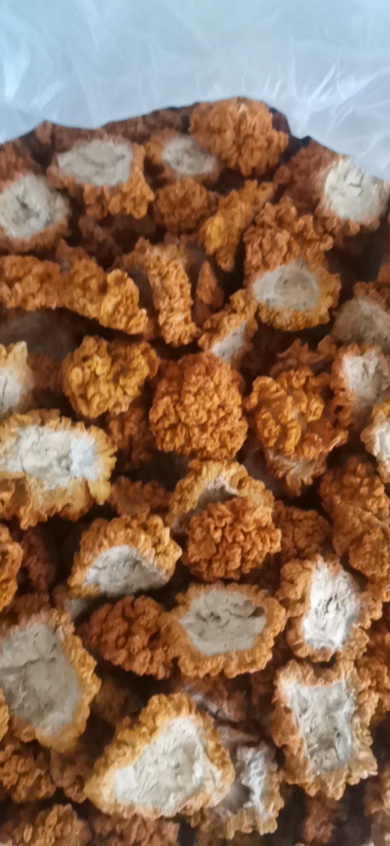 云南黄金耳金耳干货大中小各种规格优质货，自己基地生产