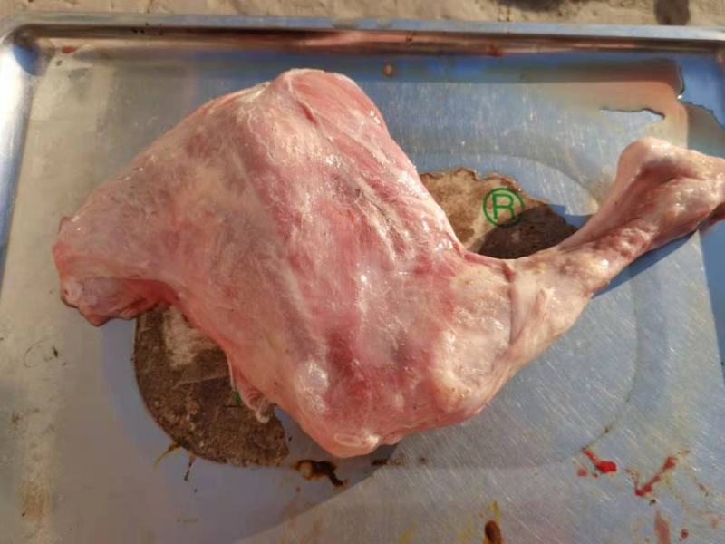源头小羊腿2一个，可供旅游行业每周二万个