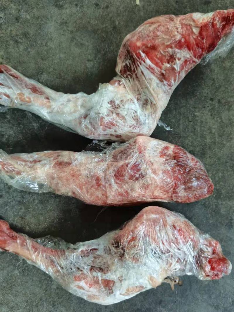 源头小羊腿2一个，可供旅游行业每周二万个