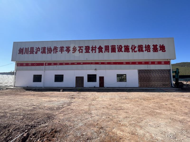 云南黄金耳金耳干货大中小各种规格优质货，自己基地生产