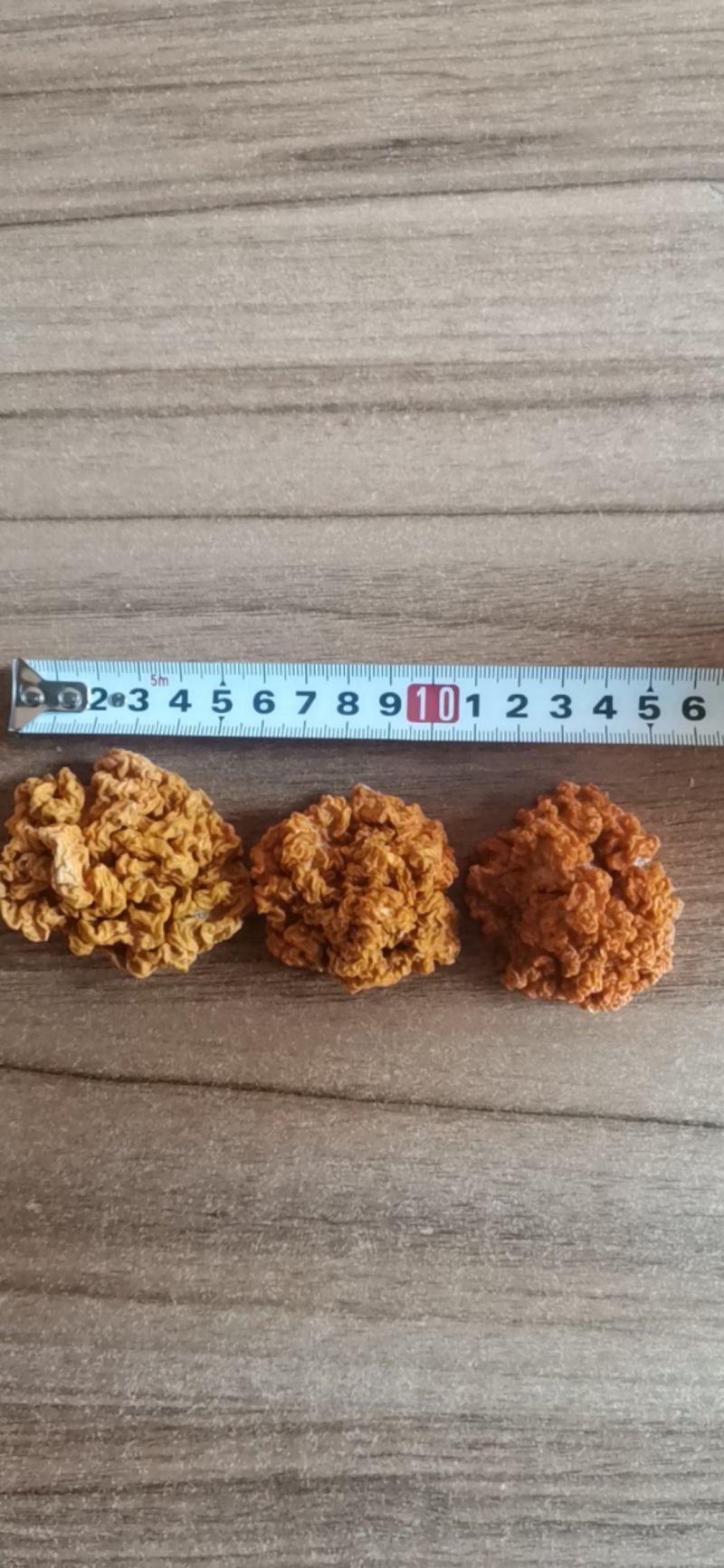 云南黄金耳金耳干货大中小各种规格优质货，自己基地生产