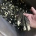 2022羊肚菌新货价格下降质量好头茬