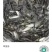 草鱼苗，基地直供，大水面培育，无病无伤，规格匀称，饲料训