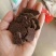 【出售胡麻饼】油性大营养价值高养殖专用量大优惠