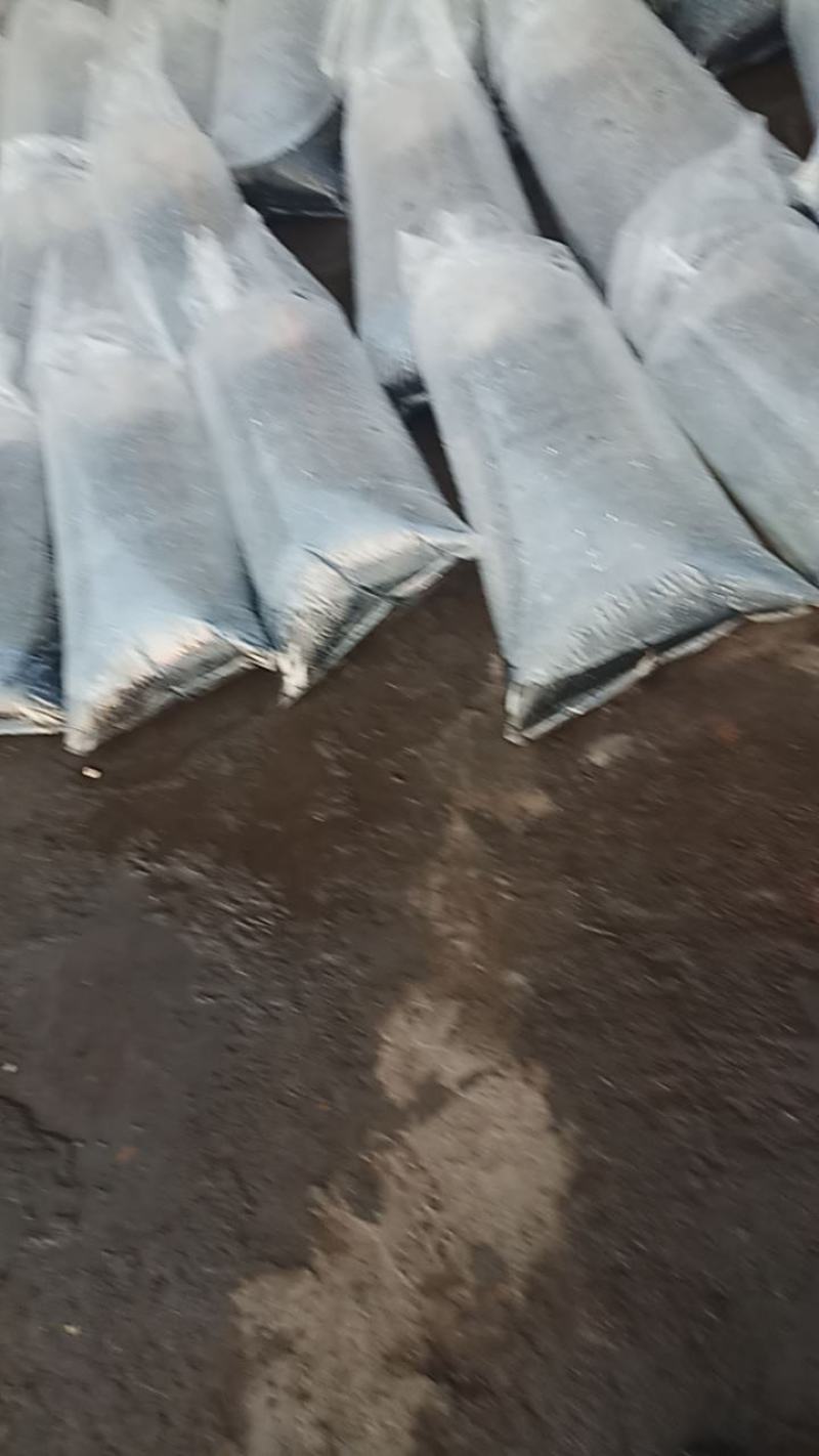 鸭嘴鱼，基地直供，无病无伤，规格匀称，大水面培育，高密度