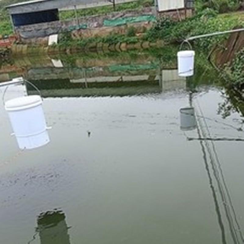 鱼苗粉料投料机筒投料桶泥鳅大头投喂水产饵料机虾鱼鳅投饵料
