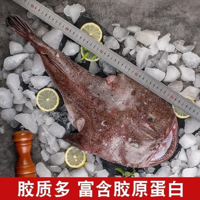 新鲜安康鱼块海鲜水产冷冻安康鱼丑鱼块灯笼鱼蛤蟆鱼块