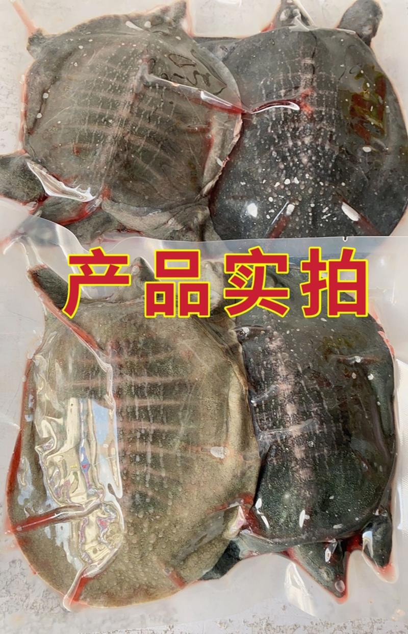 甲鱼安徽甲鱼鲜杀速冻甲鱼麻辣甲鱼专用全国发货量大从优