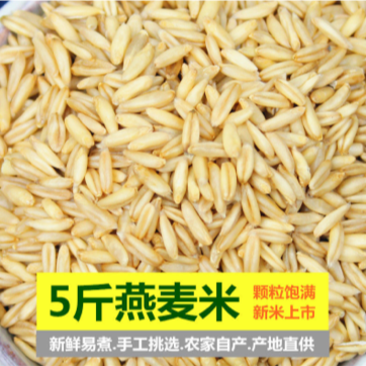 【包邮_5斤燕麦米】新货燕麦米5斤农家自种五谷杂粮燕麦