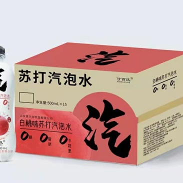气泡水饮料5种口味厂家直销价格优势