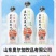 气泡水饮料5种口味厂家直销价格优势
