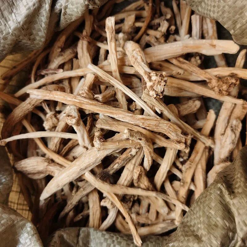 独定子，一手货源，产地直供道地药材，品质保证，支持验货
