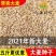 【包邮_5斤大麦】新大麦带壳大麦做麦芽糖原料大麦种子发芽