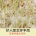【包邮_5斤大麦】新大麦带壳大麦做麦芽糖原料大麦种子发芽