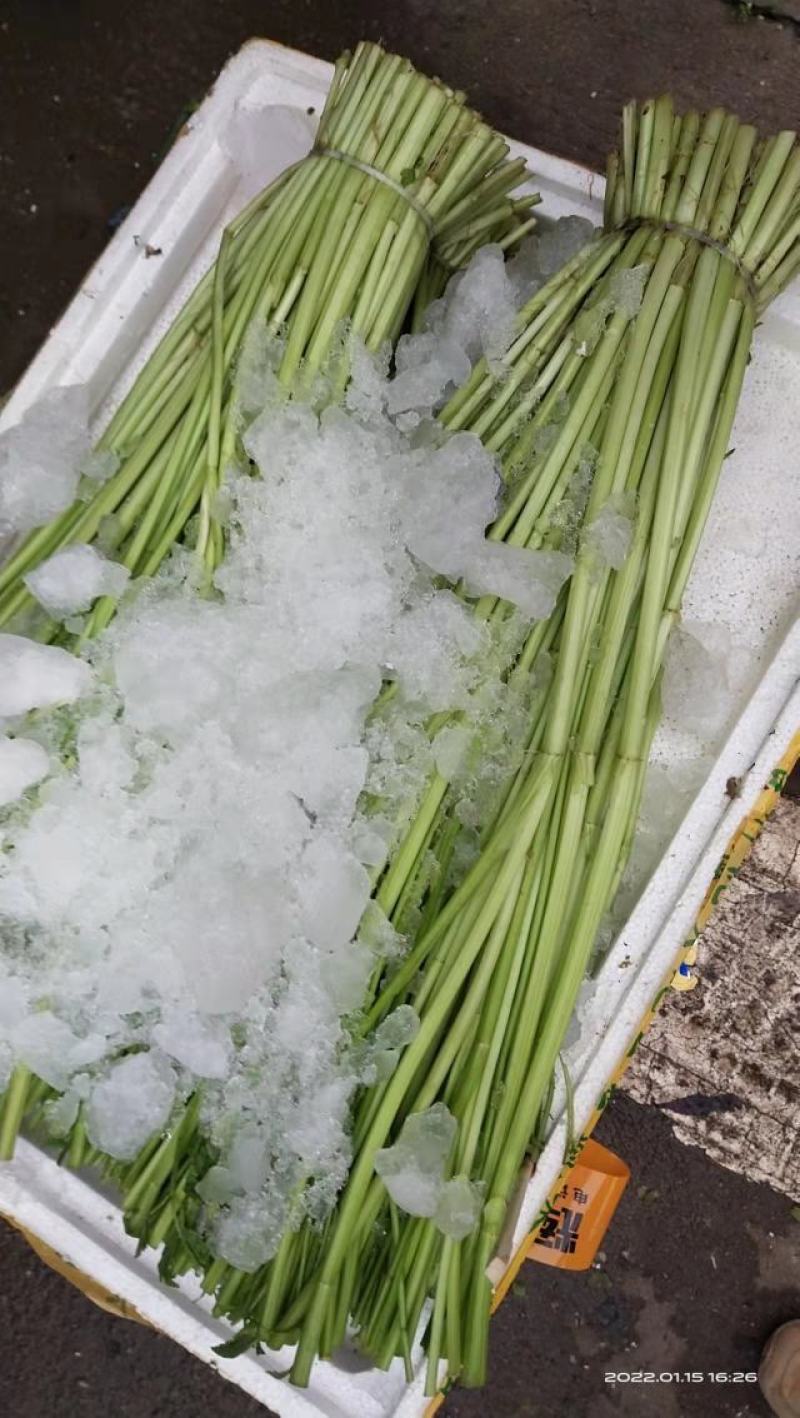 杨林寨野生芹菜/高品质水芹菜/洞庭湖野生菜/包邮