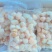 精品七彩贝柱
