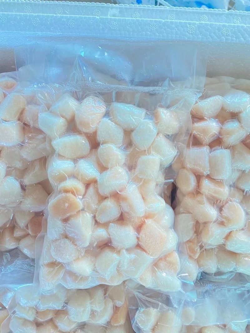 精品七彩贝柱