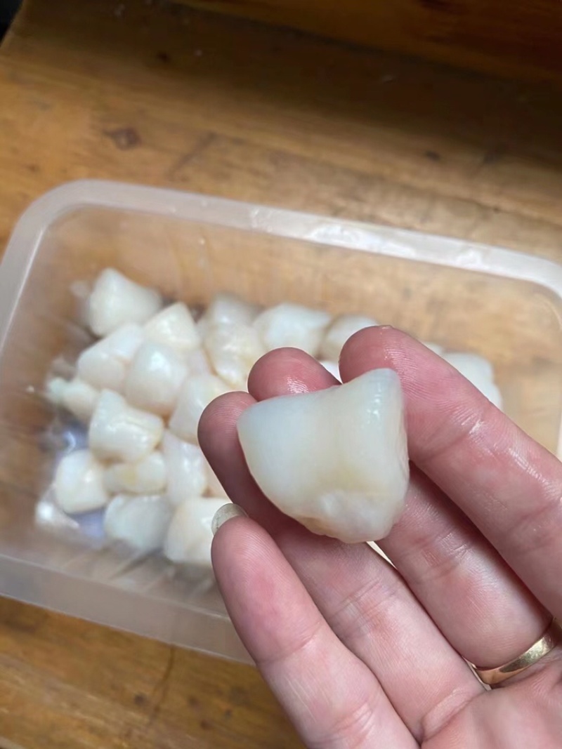 精品七彩贝柱