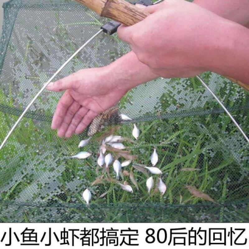 水产养殖专用食台螃蟹喂养虾网龙虾观料台南美对虾牛蛙甲鱼饲