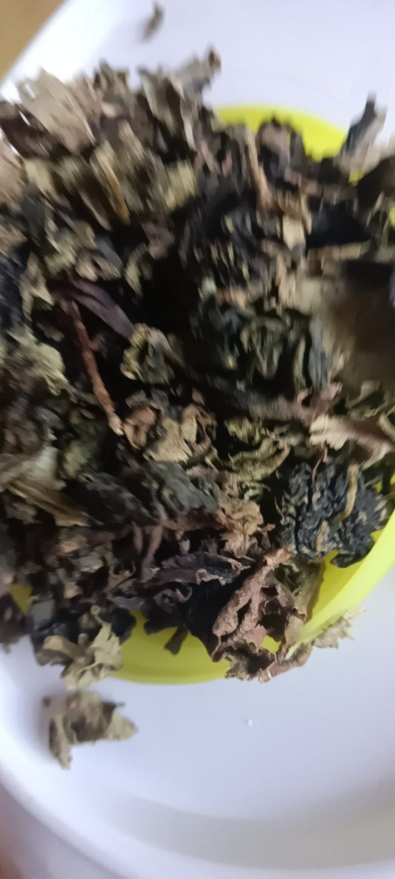 农家自种的地皮菜干货，新鲜好吃500克为—件包邮。