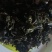 农家自种的地皮菜干货，新鲜好吃500克为—件包邮。