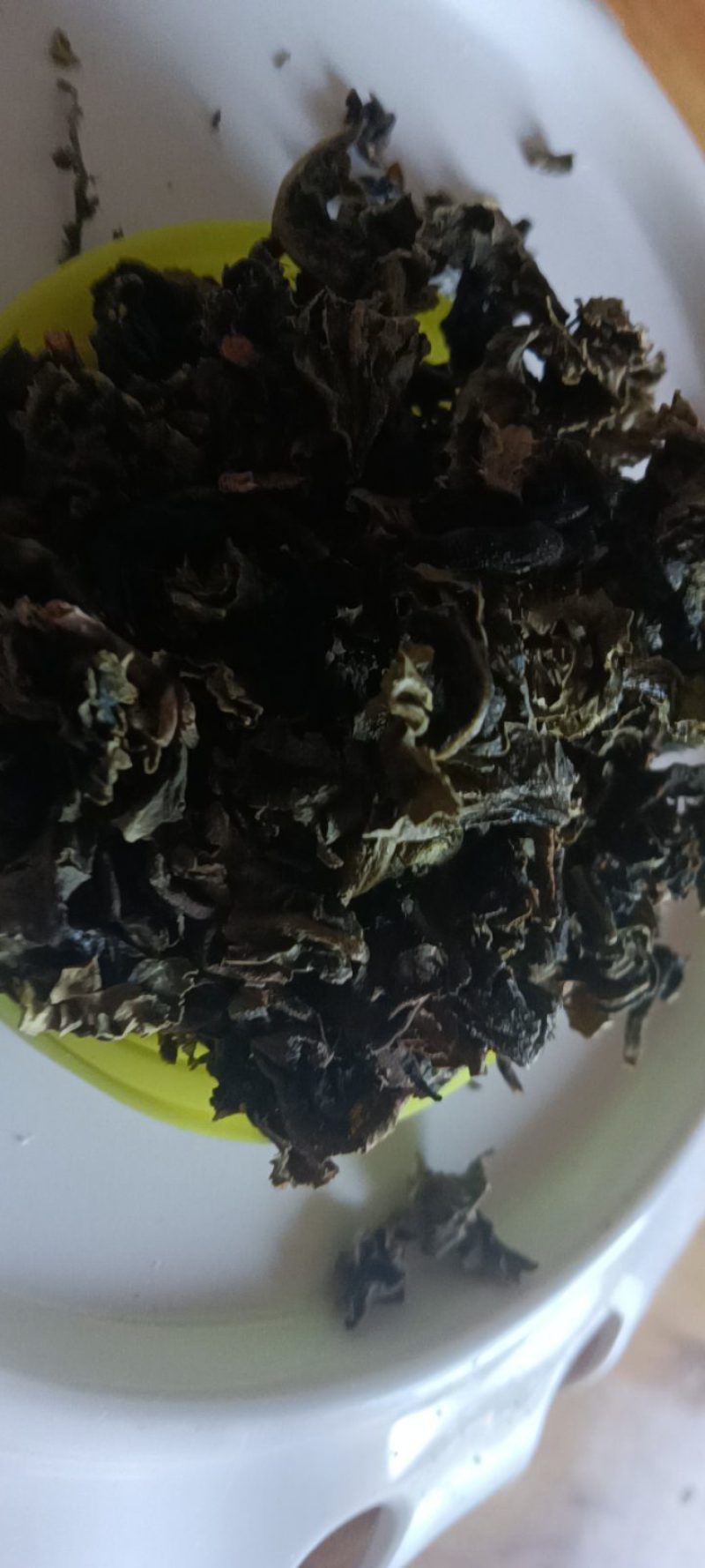 农家自种的地皮菜干货，新鲜好吃500克为—件包邮。