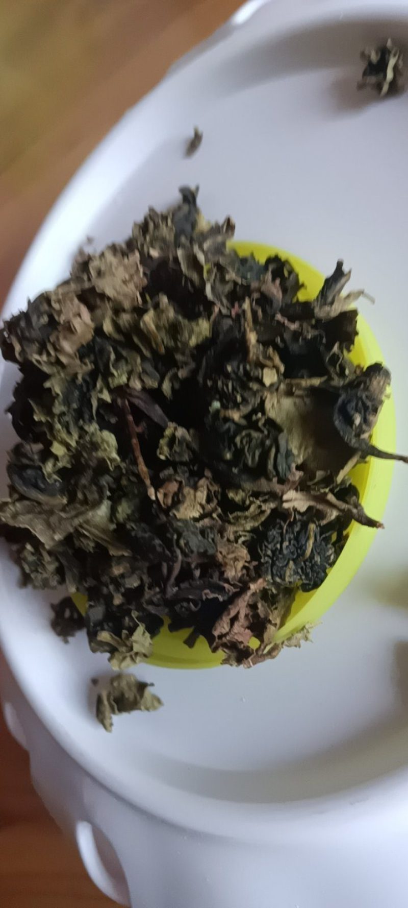 农家自种的地皮菜干货，新鲜好吃500克为—件包邮。