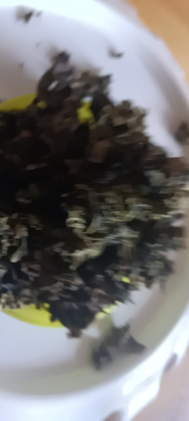 农家自种的地皮菜干货，新鲜好吃500克为—件包邮。