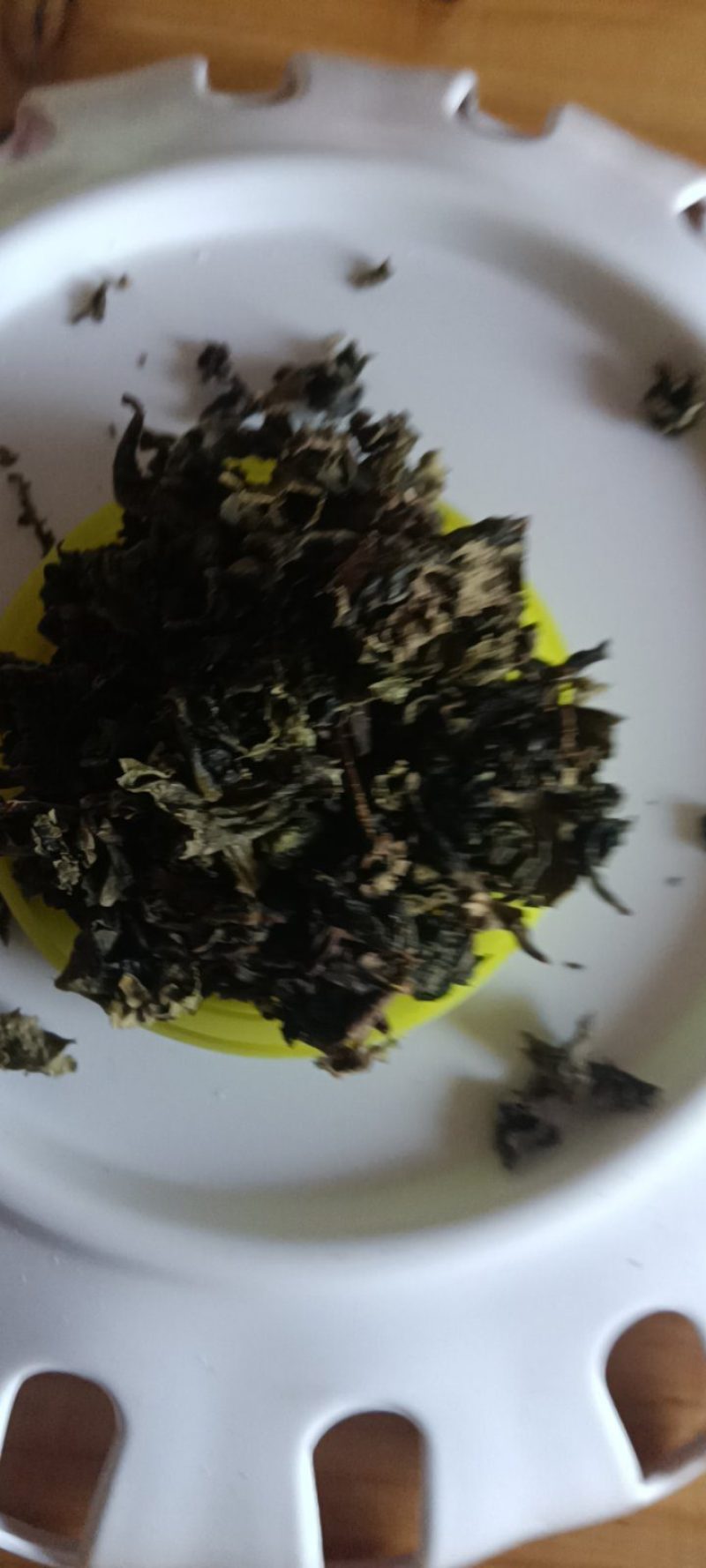 农家自种的地皮菜干货，新鲜好吃500克为—件包邮。