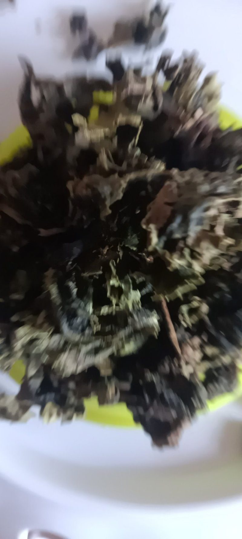 农家自种的地皮菜干货，新鲜好吃500克为—件包邮。