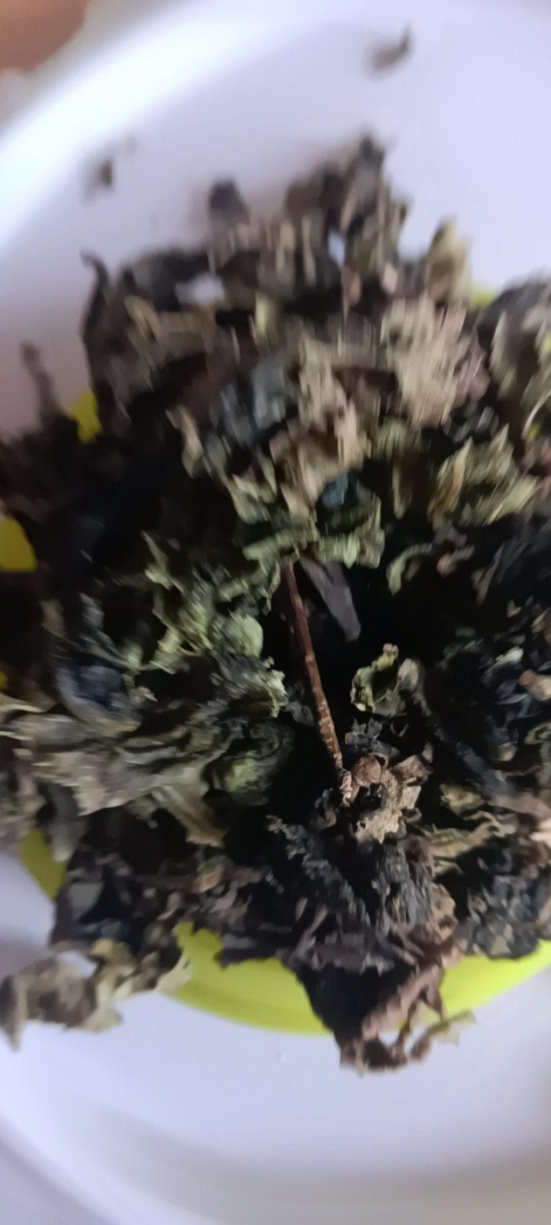 农家自种的地皮菜干货，新鲜好吃500克为—件包邮。