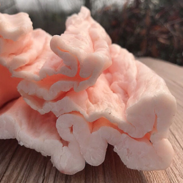 牛板油牛腰油新鲜牛油