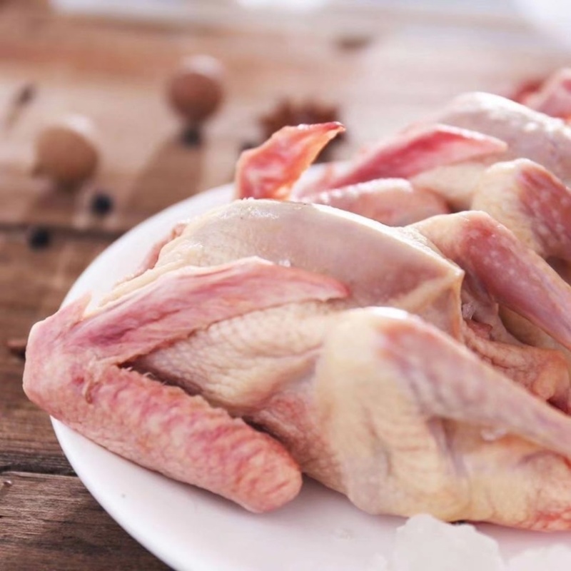 【乳鸽】精品乳鸽白条鸽厂家直销规格齐全欢迎采购