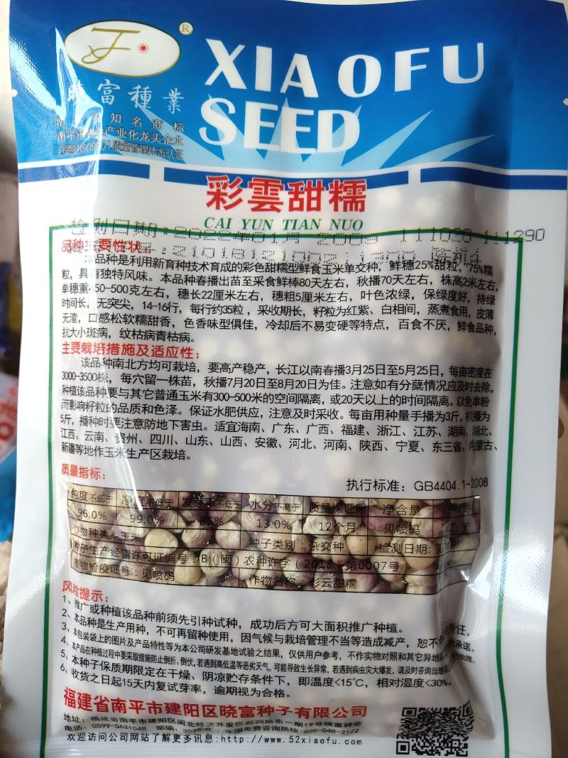 彩雲甜糯玉米种子，非转基因，高产，